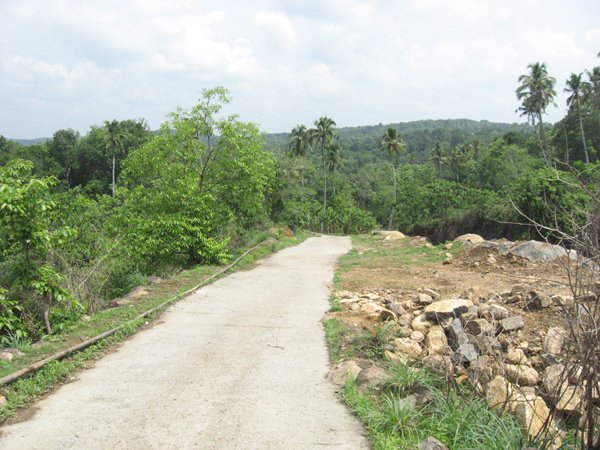 Land in Kerala