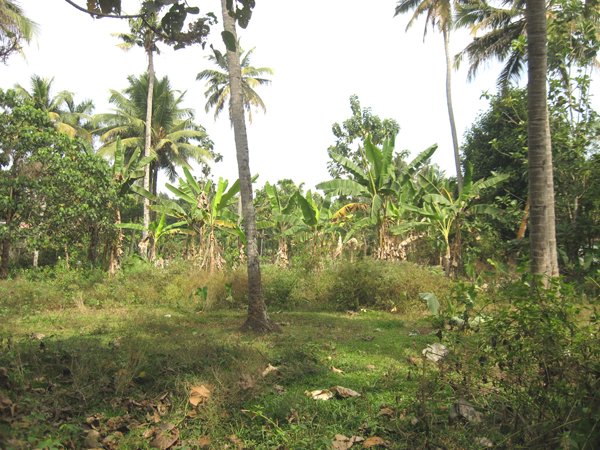 Land in Kerala