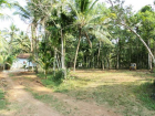 Land in Kerala