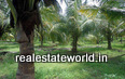 kerala_real_estate_ad255201072a.jpg