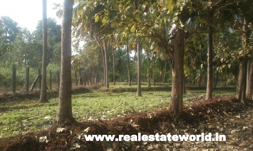 Villas in Kerala