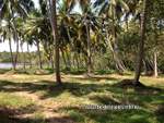 Land for Sale in Attingal